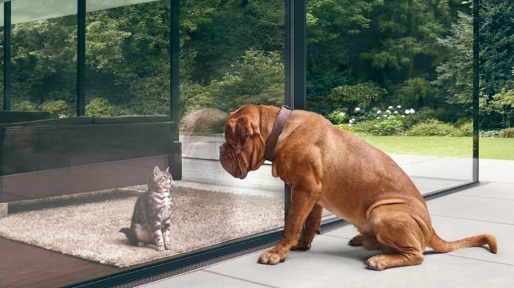 rufus-en-skip Schuco